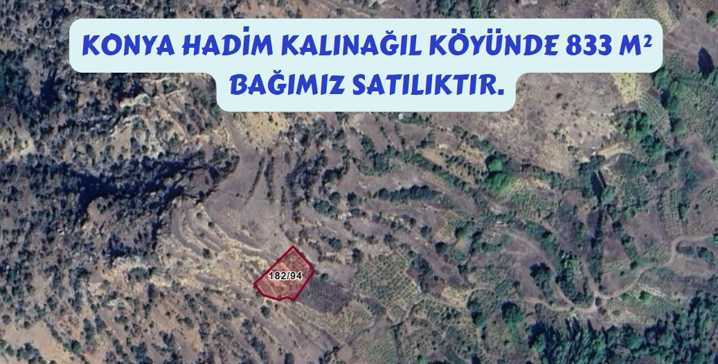 KONYA HADİM KALINAĞIL KÖYÜNDE 833M² BAĞIMIZ SATILIKTIR. - KONYA HADİM fotoğraf 7